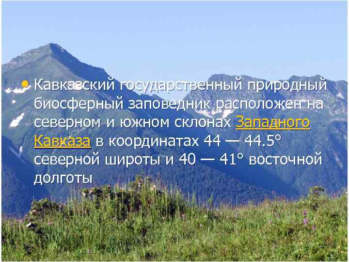  • Кавказский государственный природный биосферный заповедник расположен на северном и южном склонах Западного