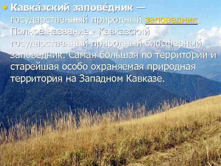  • Кавка зский запове дник — государственный природный заповедник. Полное название - Кавказский