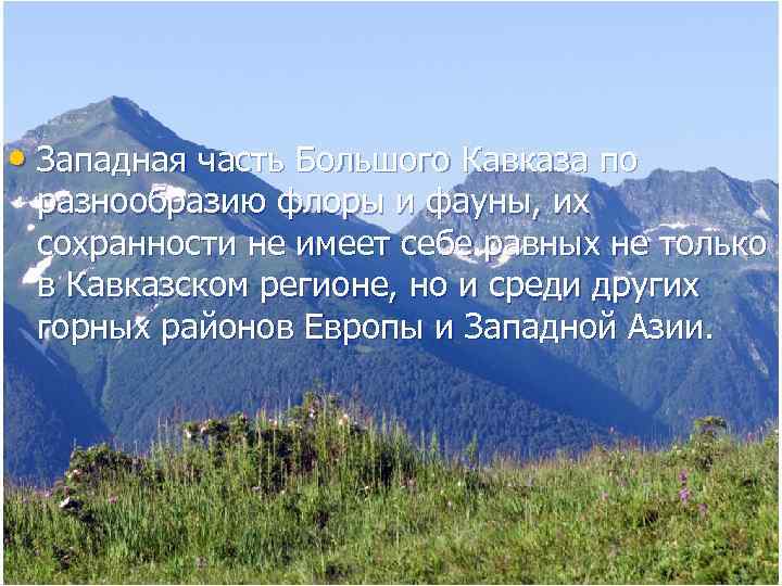  • Западная часть Большого Кавказа по разнообразию флоры и фауны, их сохранности не