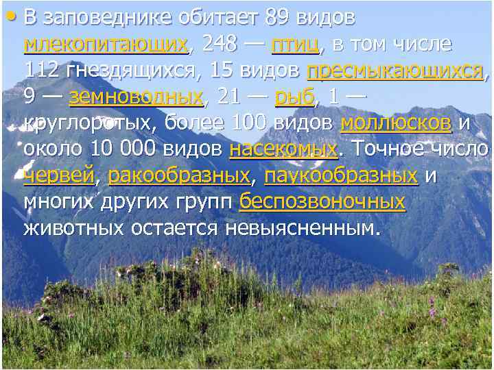  • В заповеднике обитает 89 видов млекопитающих, 248 — птиц, в том числе