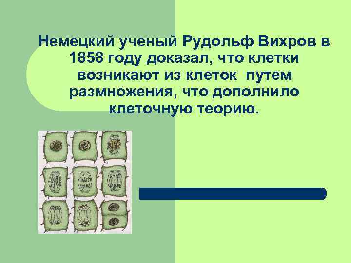 Немецкий ученый Рудольф Вихров в 1858 году доказал, что клетки возникают из клеток путем