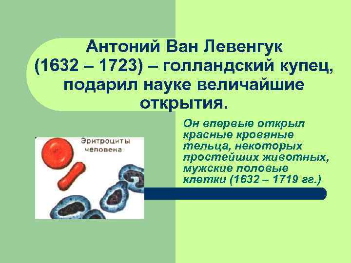 Антоний Ван Левенгук (1632 – 1723) – голландский купец, подарил науке величайшие открытия. Он