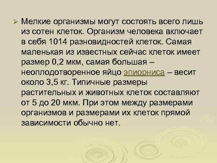 Ø Мелкие организмы могут состоять всего лишь из сотен клеток. Организм человека включает в