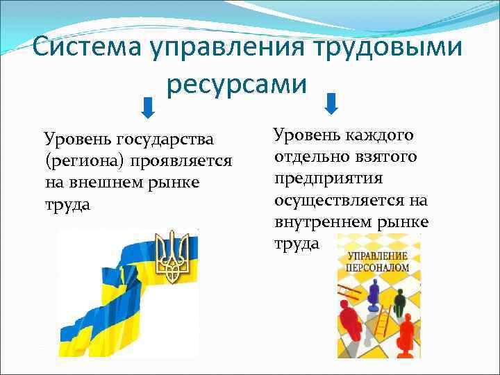 Система управления трудовыми ресурсами Уровень государства (региона) проявляется на внешнем рынке труда Уровень каждого