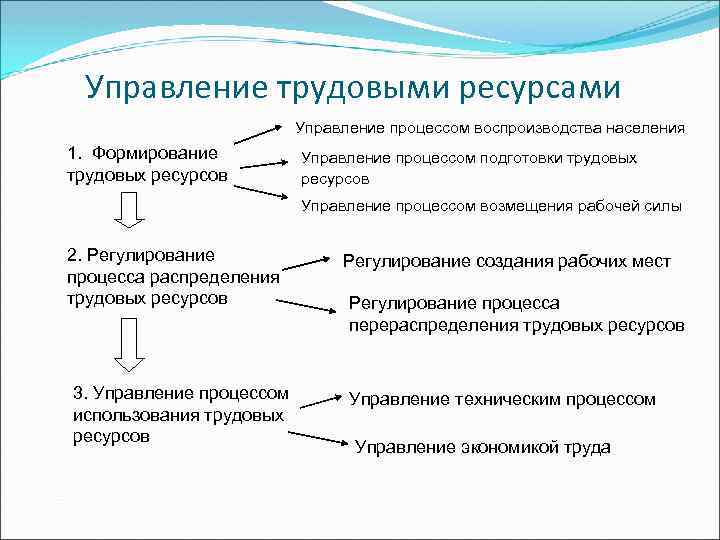 Формы трудовых ресурсов