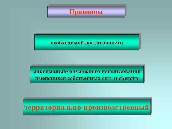 Принципы необходимой достаточности максимально возможного использования имеющихся собственных сил и средств территориально-производственный 