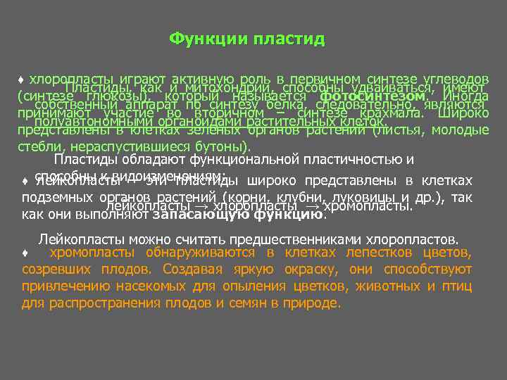 Функции пластид ♦ хлоропласты играют активную роль в первичном синтезе углеводов Пластиды, как и