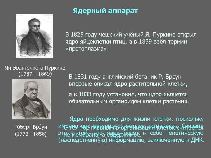 Ядерный аппарат В 1825 году чешский учёный Я. Пуркине открыл ядро яйцеклетки птиц, а