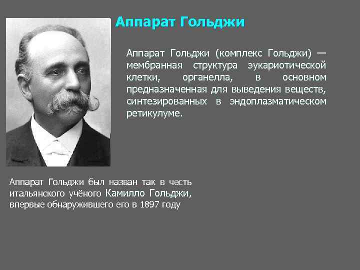 Аппарат Гольджи (комплекс Гольджи) — мембранная структура эукариотической клетки, органелла, в основном предназначенная для