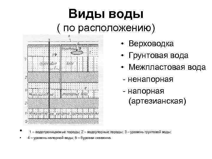 Виды воды ( по расположению) • Верховодка • Грунтовая вода • Межпластовая вода -