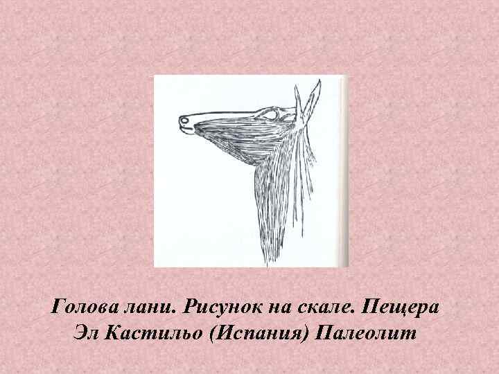 Голова лани. Рисунок на скале. Пещера Эл Кастильо (Испания) Палеолит 