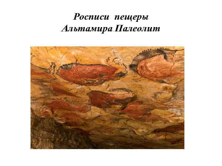 Росписи пещеры Альтамира Палеолит 