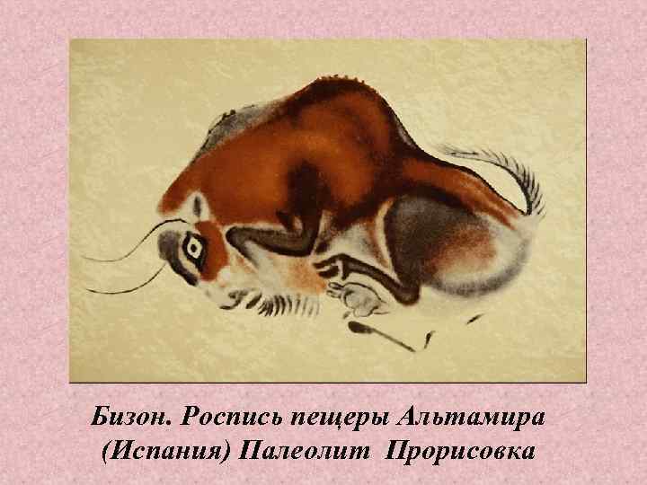 Бизон. Роспись пещеры Альтамира (Испания) Палеолит Прорисовка 