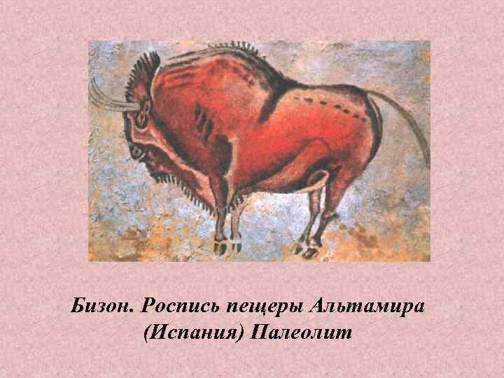 Бизон. Роспись пещеры Альтамира (Испания) Палеолит 
