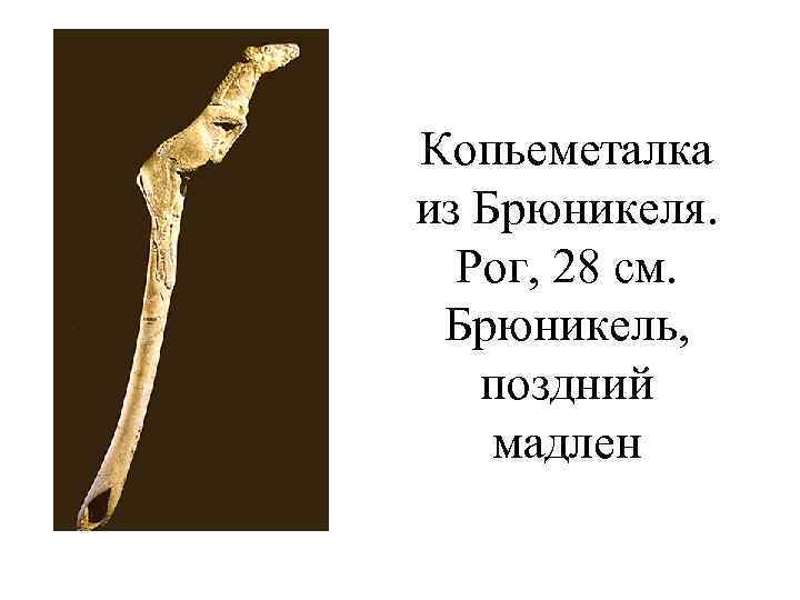 Копьеметалка из Брюникеля. Рог, 28 см. Брюникель, поздний мадлен 