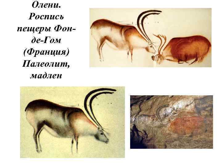 Олени. Роспись пещеры Фонде-Гом (Франция) Палеолит, мадлен 