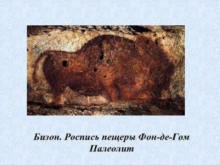 Бизон. Роспись пещеры Фон-де-Гом Палеолит 