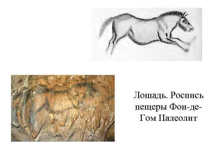Лошадь. Роспись пещеры Фон-де. Гом Палеолит 