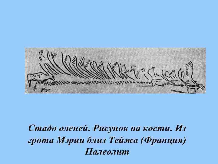 Стадо оленей. Рисунок на кости. Из грота Мэрии близ Тейжа (Франция) Палеолит 