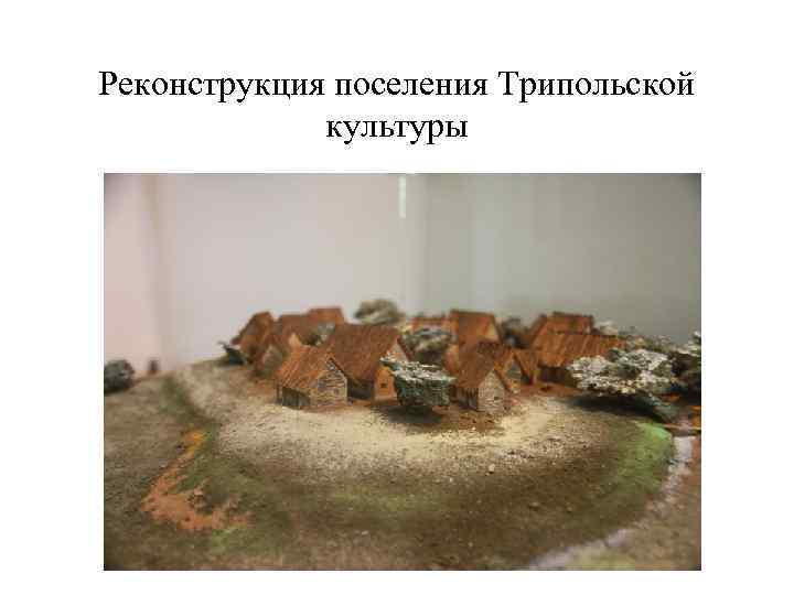 Реконструкция поселения Трипольской культуры 
