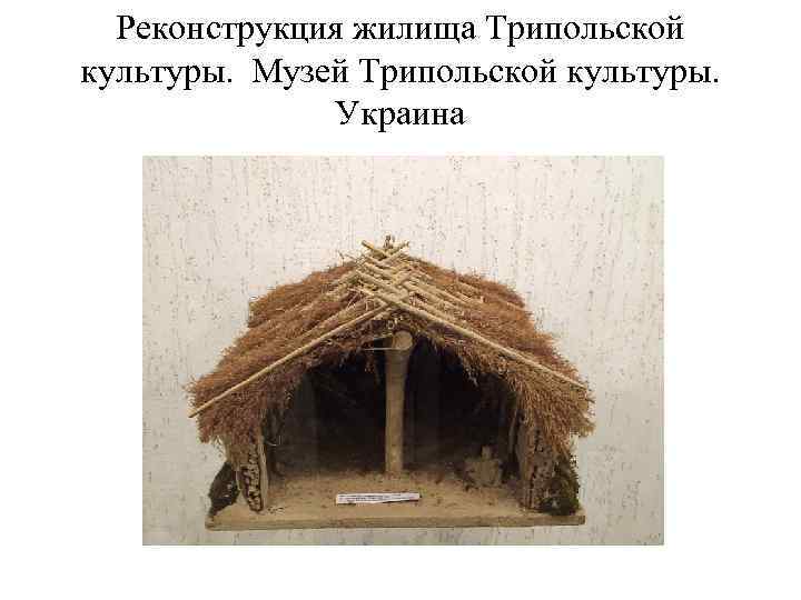 Реконструкция жилища Трипольской культуры. Музей Трипольской культуры. Украина 