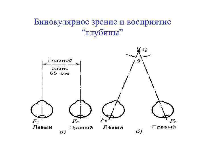 Бинокулярное зрение и восприятие “глубины” 