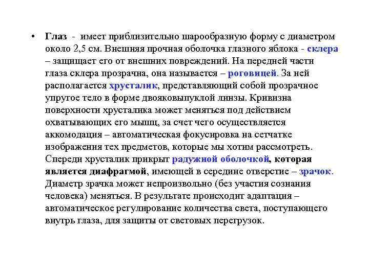  • Глаз - имеет приблизительно шарообразную форму с диаметром около 2, 5 см.