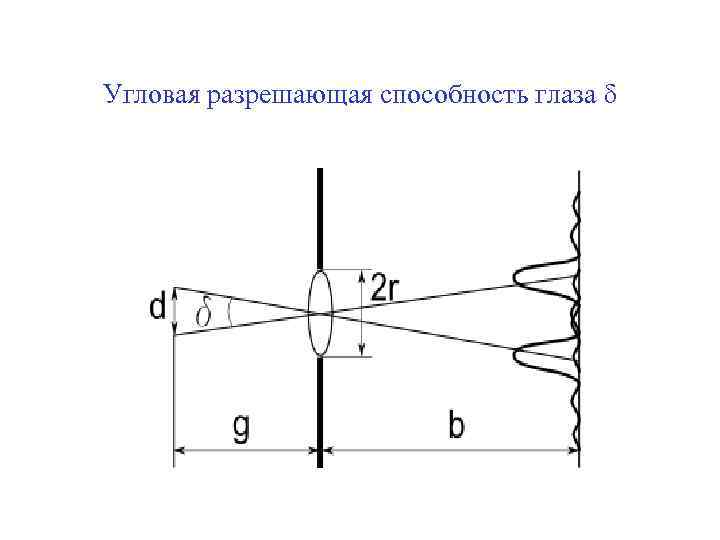 Угловая разрешающая способность глаза δ 