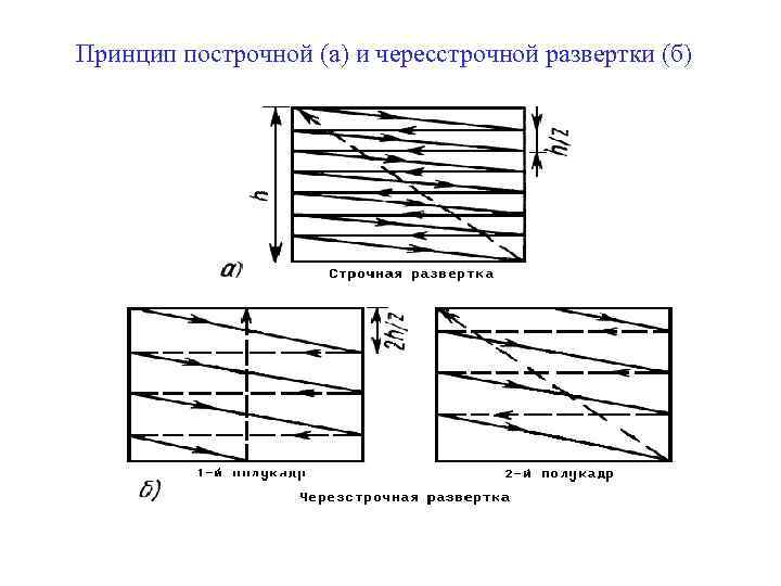 Принцип построчной (а) и чересстрочной развертки (б) 