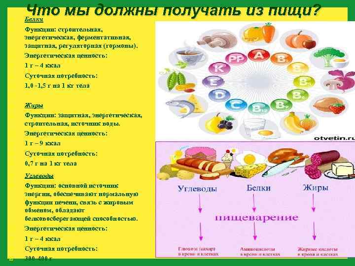  Что мы должны получать из пищи? Белки Функции: строительная, энергетическая, ферментативная, защитная, регуляторная