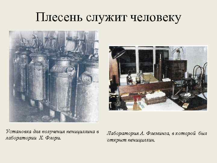 Плесень служит человеку Установка для получения пенициллина в лаборатории Х. Флори. Лаборатория А. Флеминга,