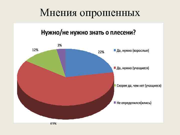 Мнения опрошенных 