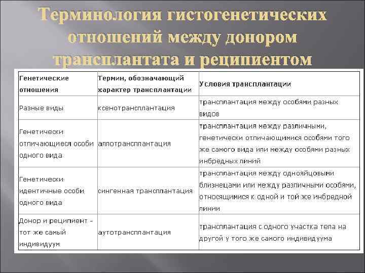 Терминология гистогенетических отношений между донором трансплантата и реципиентом 