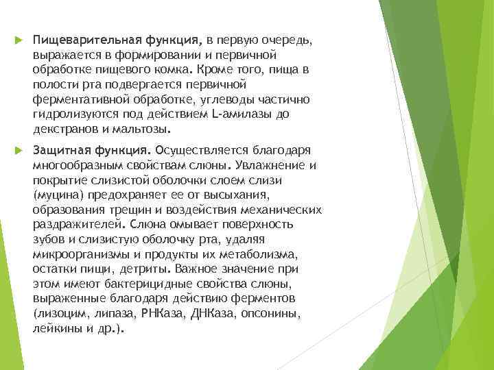  Пищеварительная функция, в первую очередь, выражается в формировании и первичной обработке пищевого комка.