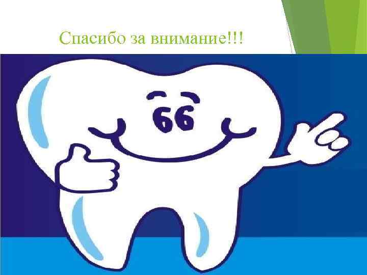 Спасибо за внимание!!! 