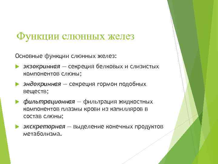  Функции слюнных желез Основные функции слюнных желез: экзокринная — секреция белковых и слизистых