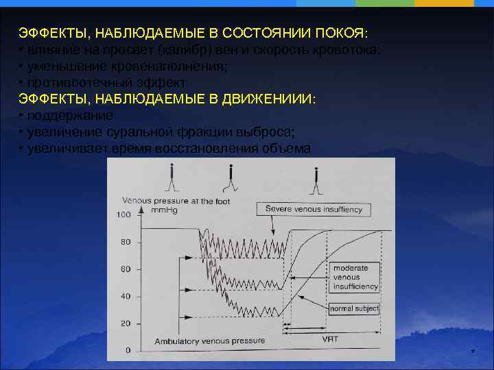ЭФФЕКТЫ, НАБЛЮДАЕМЫЕ В СОСТОЯНИИ ПОКОЯ: • влияние на просвет (калибр) вен и скорость кровотока;
