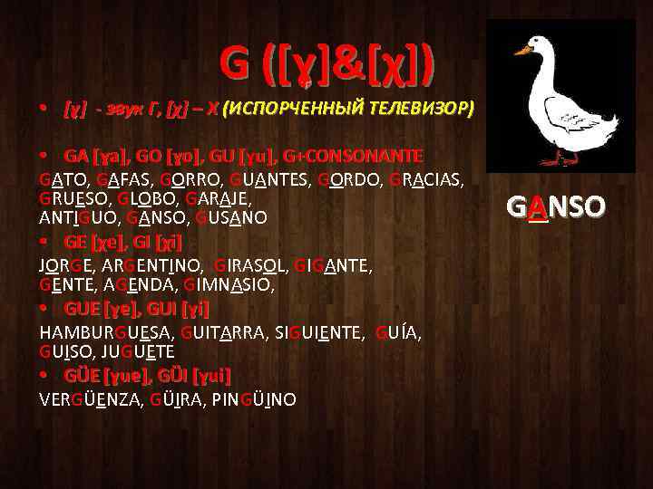 G ([ɣ ]&[χ]) ]& • [ɣ ] - звук Г, [χ] – Х (ИСПОРЧЕННЫЙ