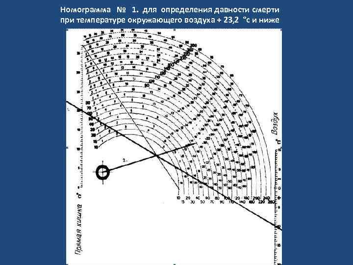 Номограмма № 1. для определения давности смерти при температуре окружающего воздуха + 23, 2