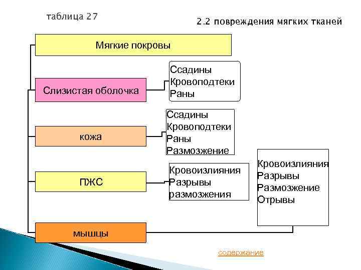 таблица 27 2. 2 повреждения мягких тканей Мягкие покровы Слизистая оболочка Ссадины Кровоподтеки Раны