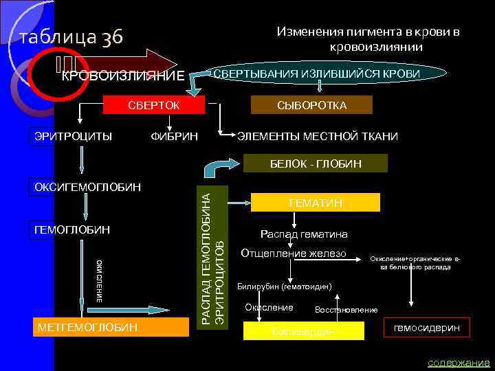 таблица 36 Изменения пигмента в крови в кровоизлиянии КРОВОИЗЛИЯНИЕ СВЕРТЫВАНИЯ ИЗЛИВШИЙСЯ КРОВИ СВЕРТОК ЭРИТРОЦИТЫ