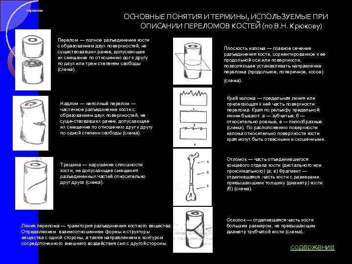 термины ОСНОВНЫЕ ПОНЯТИЯ И ТЕРМИНЫ, ИСПОЛЬЗУЕМЫЕ ПРИ ОПИСАНИИ ПЕРЕЛОМОВ КОСТЕЙ (по В. Н. Крюкову)