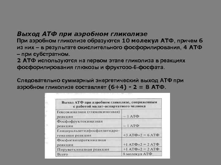 Выход АТФ при аэробном гликолизе При аэробном гликолизе образуются 10 молекул АТФ, причем 6