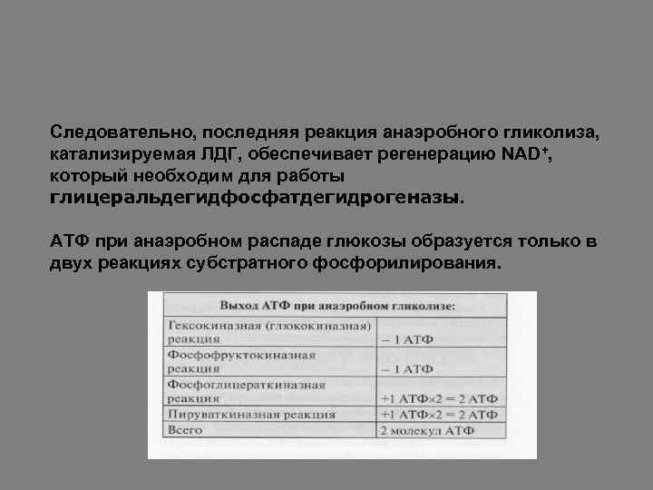 Следовательно, последняя реакция анаэробного гликолиза, катализируемая ЛДГ, обеспечивает регенерацию NAD+, который необходим для работы