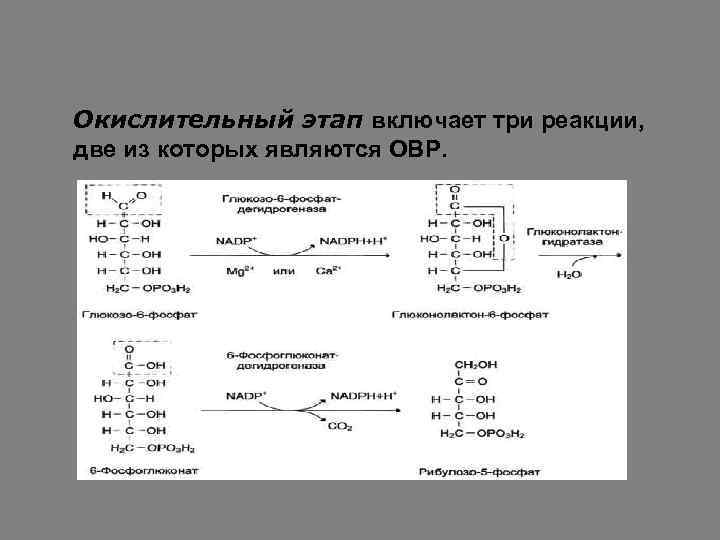 Окислительный этап включает три реакции, две из которых являются ОВР. 