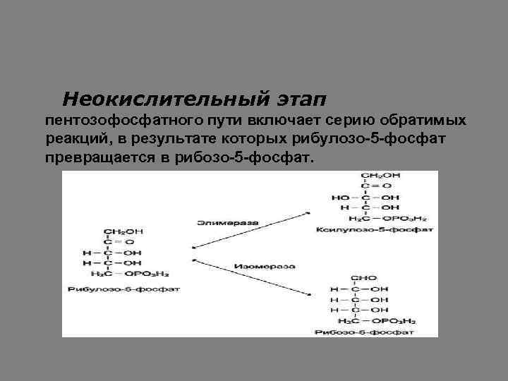 Неокислительный этап пентозофосфатного пути включает серию обратимых реакций, в результате которых рибулозо-5 -фосфат превращается