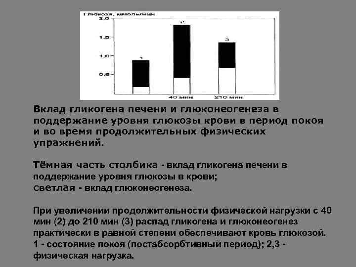 Вклад гликогена печени и глюконеогенеза в поддержание уровня глюкозы крови в период покоя и