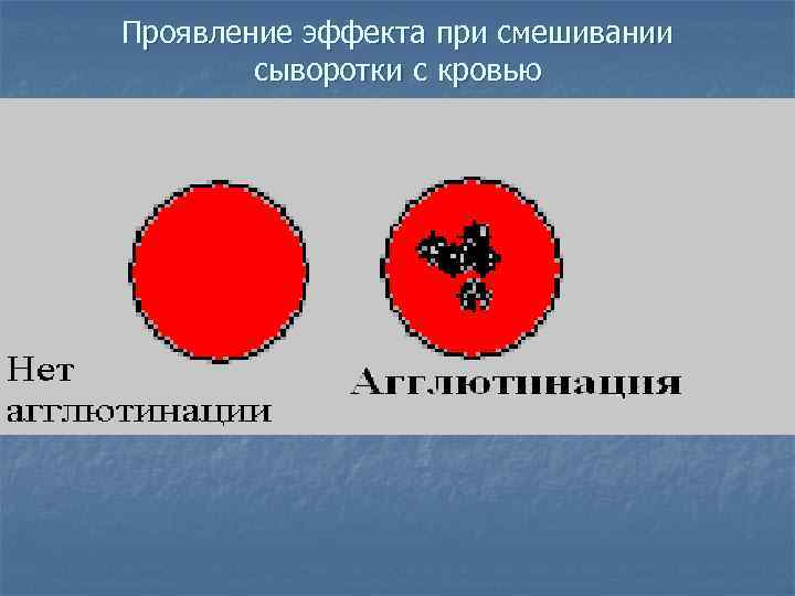 Проявление эффекта при смешивании сыворотки с кровью 