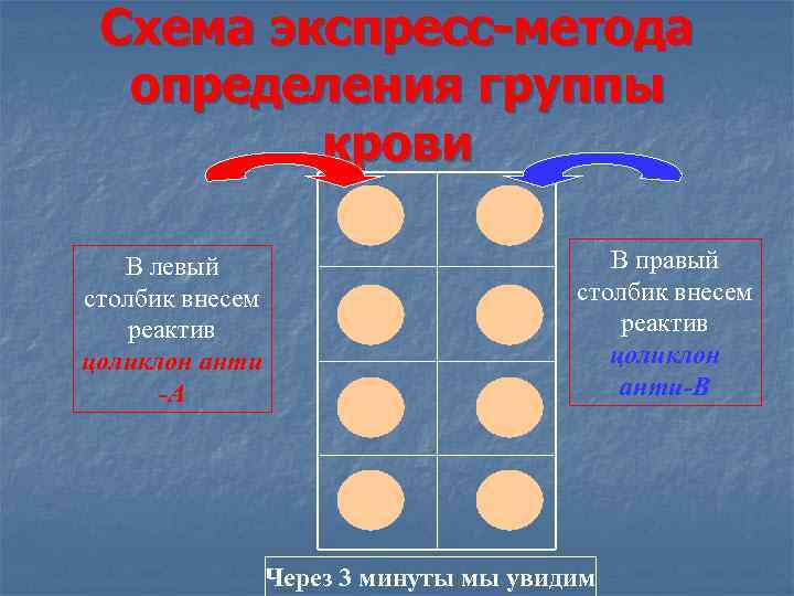Схема экспресс-метода определения группы крови В левый столбик внесем реактив цоликлон анти -А В