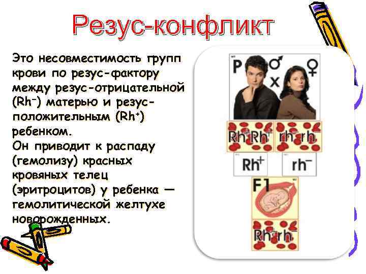 Резус-конфликт Это несовместимость групп крови по резус-фактору между резус-отрицательной (Rh−) матерью и резусположительным (Rh+)